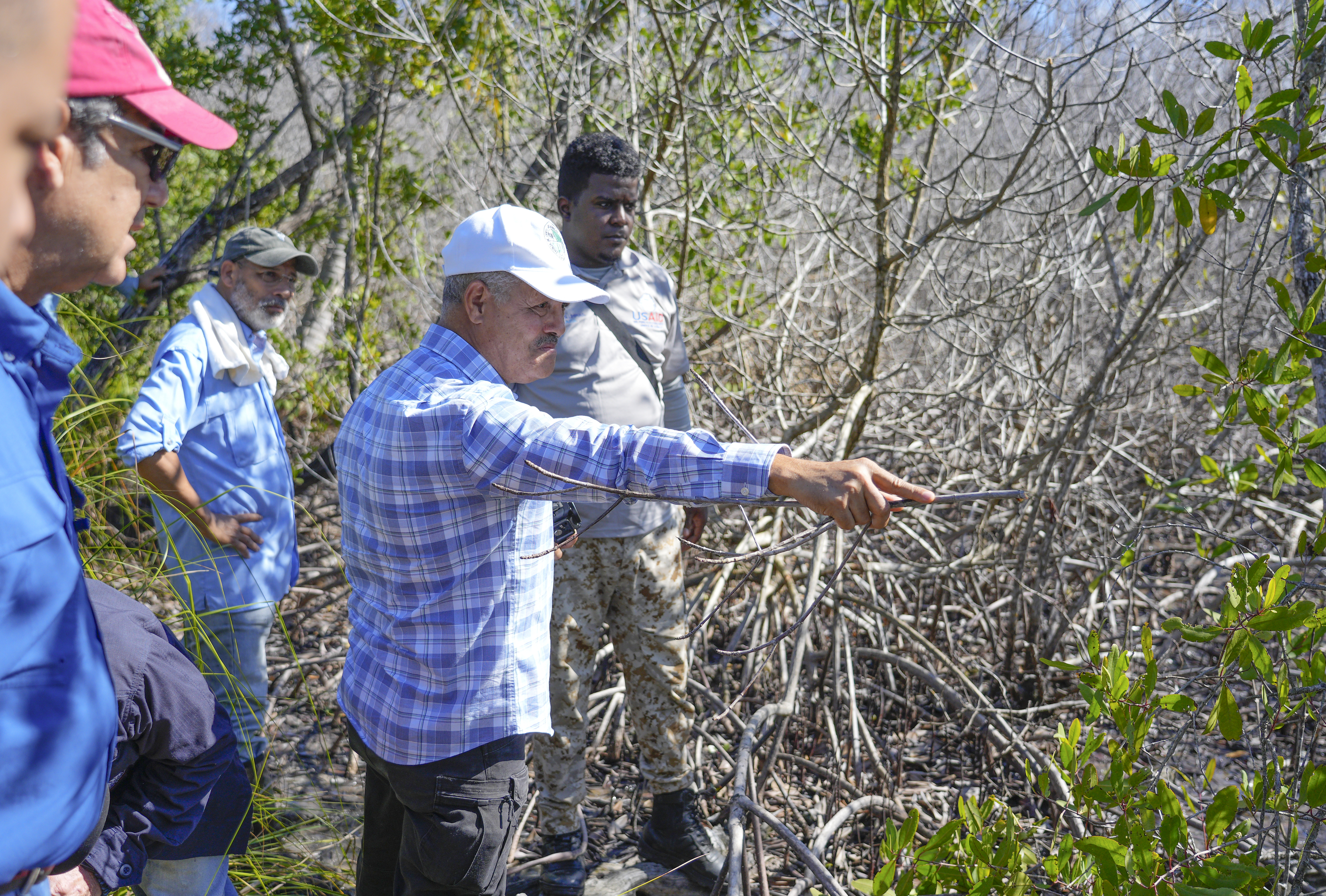 REPÚBLICA DOMINICANA: Biólogos y técnicos de Medio Ambiente acompañan a fiscales, académicos y ambientalistas en evaluación de manglar afectado en Las Terrenas