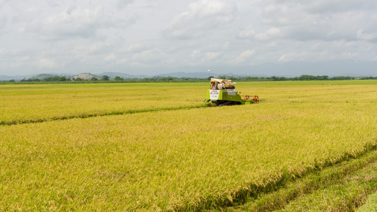 Agricultura