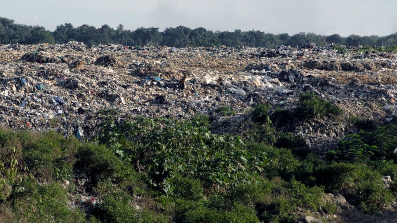 Medio Ambiente