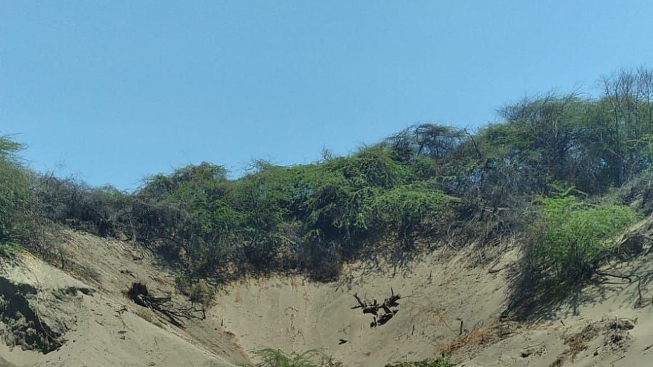 Dunas de Baní