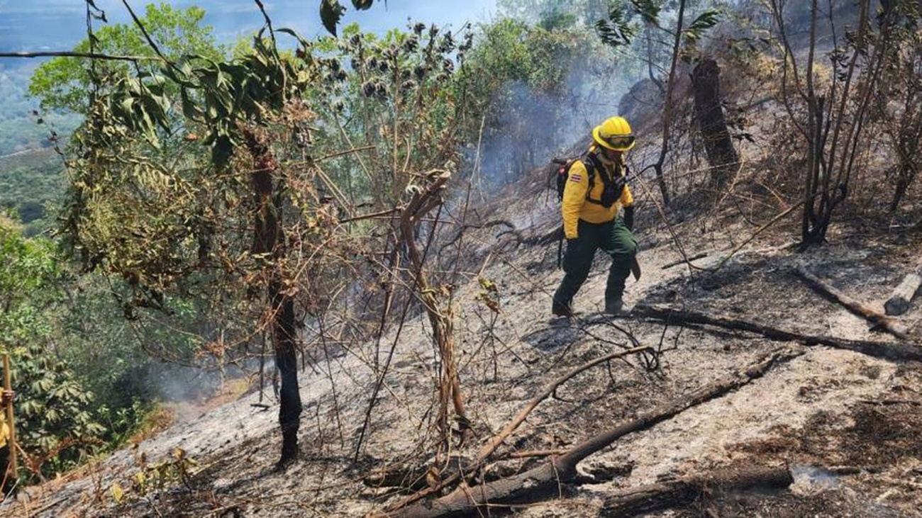 Bomberos en acción 