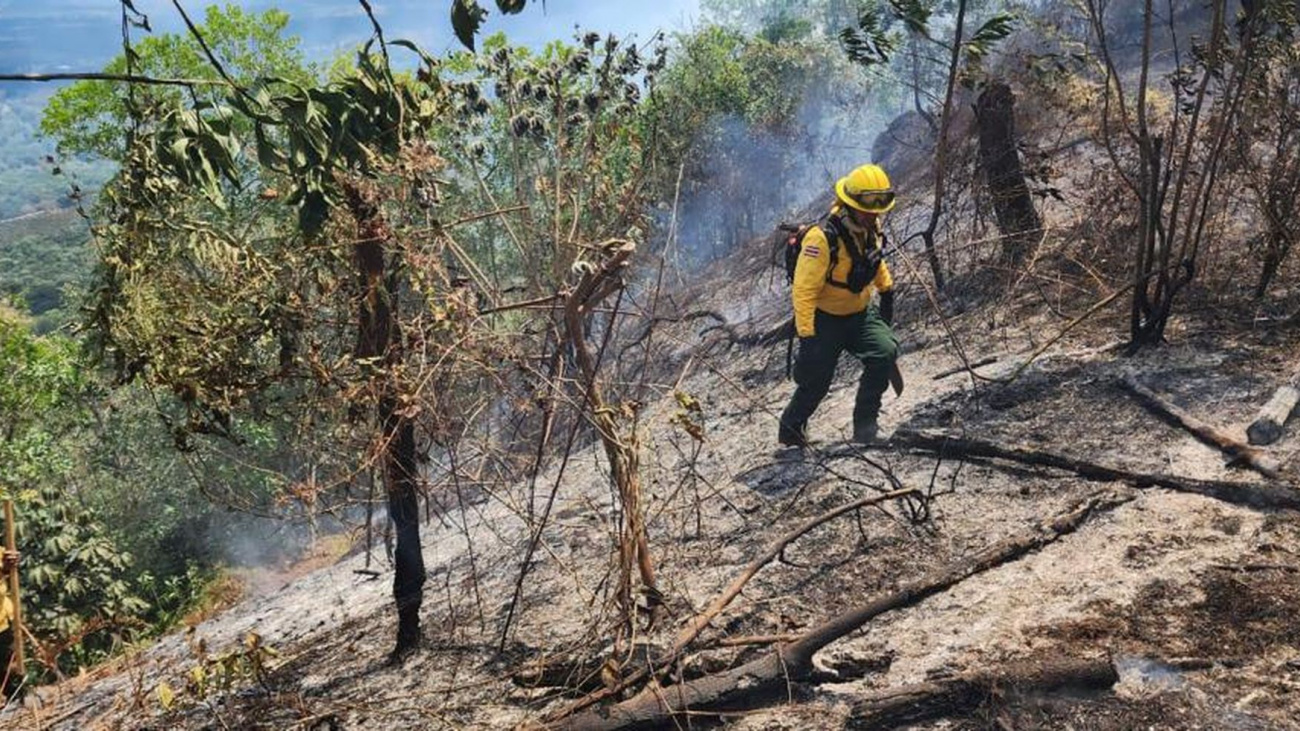 Agente forestal 