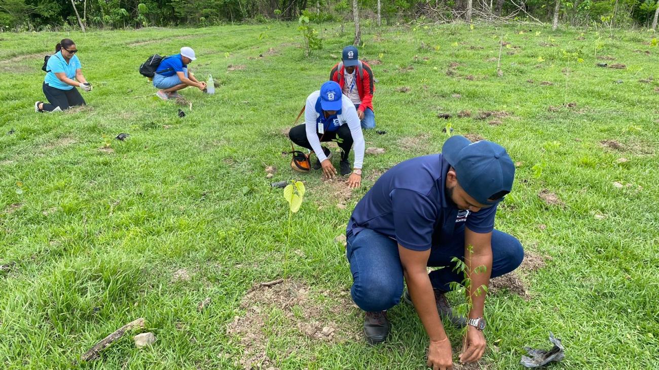 Jornada de forestación