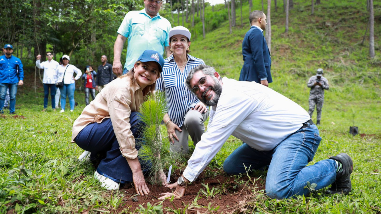 Vicepresidenta de la Republica