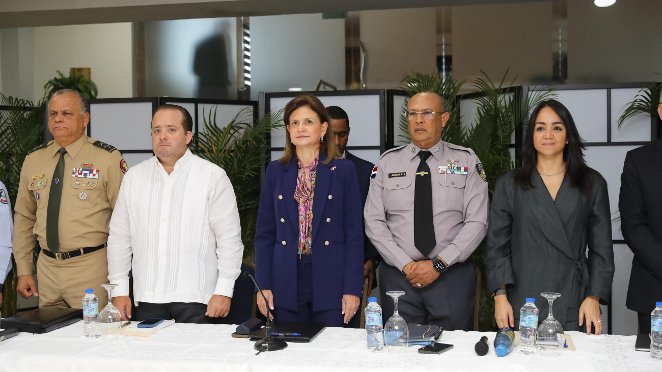 Vicepresidenta de la Republica