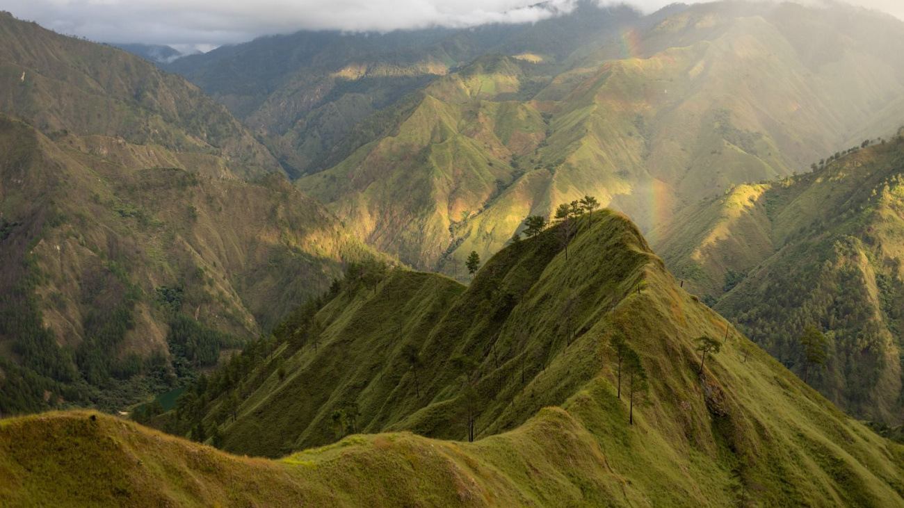 Ministerio de Medio Ambiente