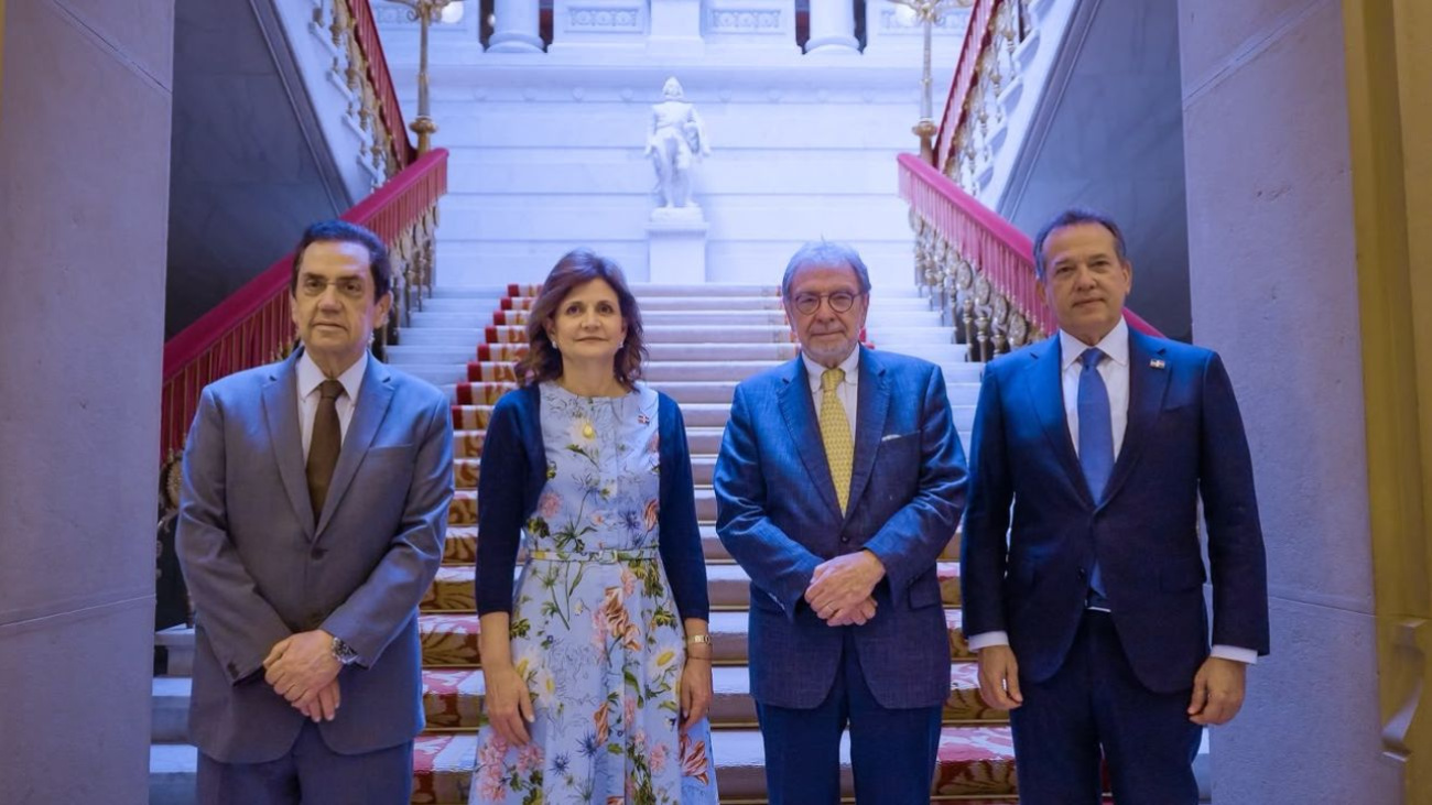Vicepresidenta Raquel Peña