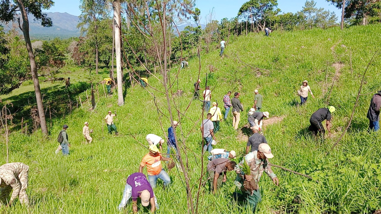 Plan Nacional de Reforestación ha plantado más de 600,000 árboles en Dajabón y Restauración 