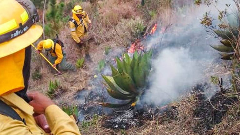 Incendio forestal controlados