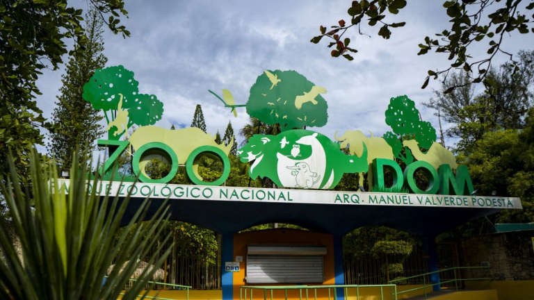 Zoologico